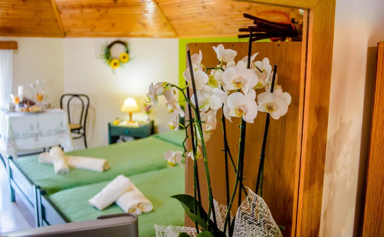 Dimitra Apartments & Studios Minia Grecja